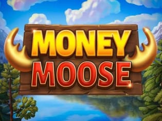 Money Moose thumbnail